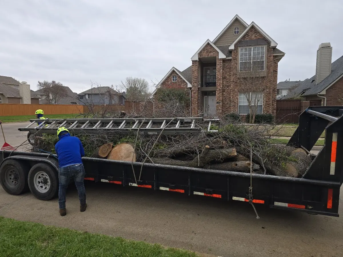 Expert Tree Fertilization with proper safety equipment in Hermansville